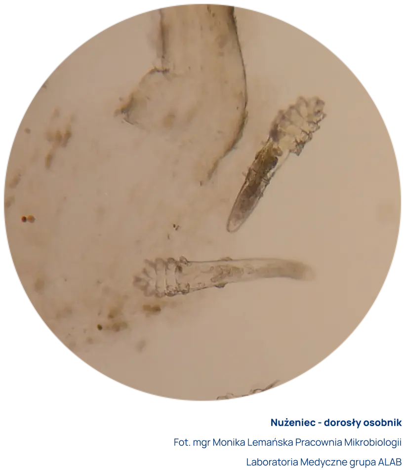 Badania mikrobiologiczne