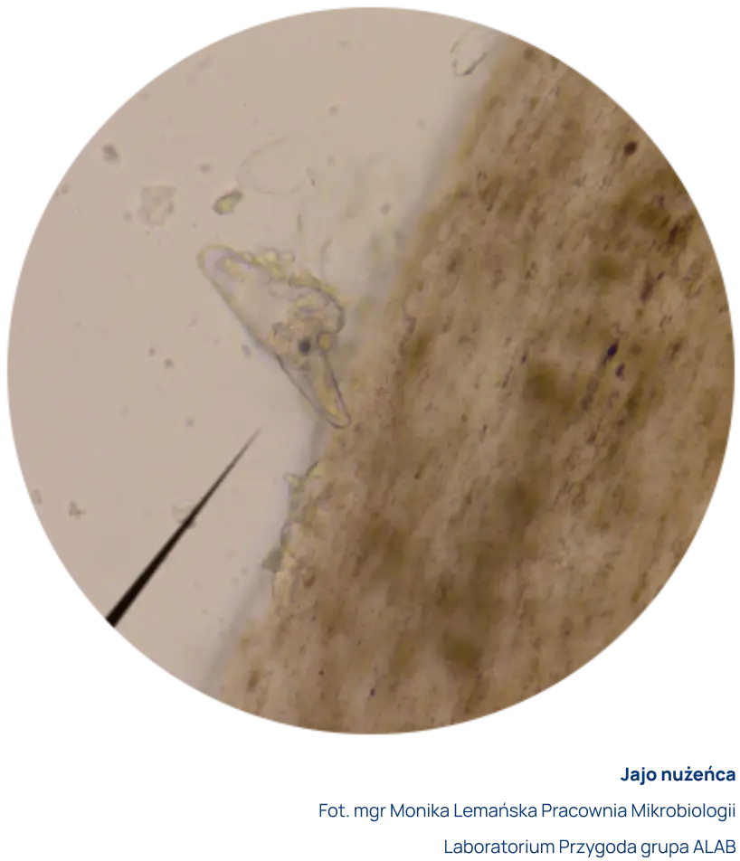 Badania mikrobiologiczne