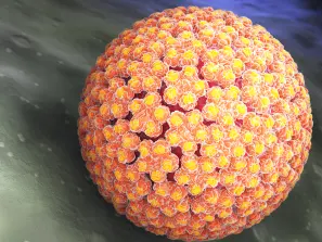 Obecność HPV