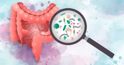 Postaw na zdrowe jelita!