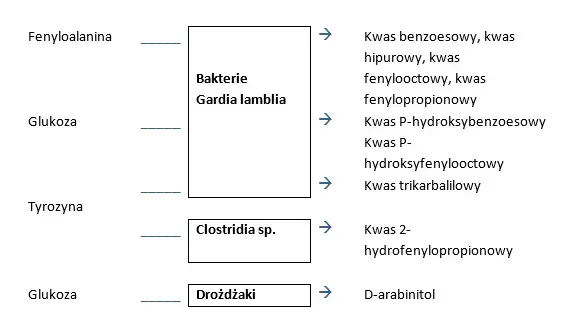 diagnostyka autyzmu