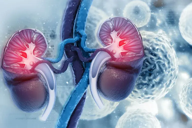 GFR - kluczowy wskaźnik w ocenie czynności nerek i diagnostyce ich chorób