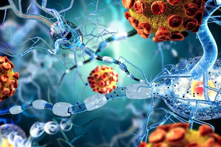 Autoimmunologia zdemaskowana: jak system obronny organizmu może zwrócić się przeciwko tobie