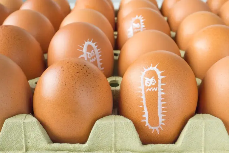 Salmonella – przyczyny zakażenia, objawy, leczenie, zapobieganie