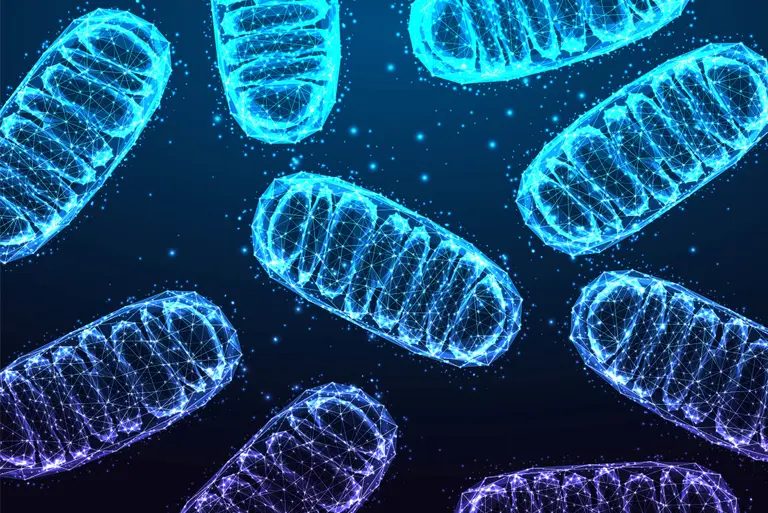 Choroby mitochondrialne – czym są i jak je zdiagnozować? Przykłady