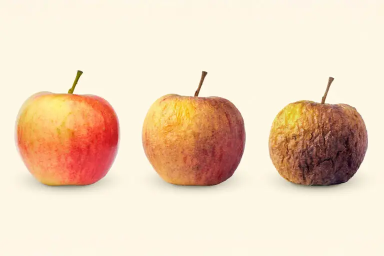 Długowieczność – jak obniżyć swój wiek biologiczny?