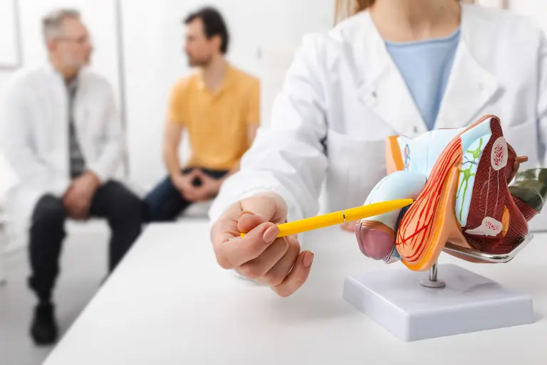 Żylaki powrózka nasiennego: objawy, przyczyny, diagnostyka i leczenie