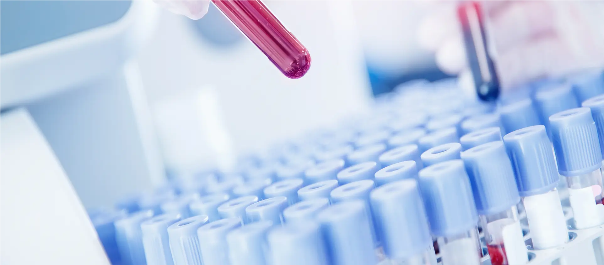 Для наших гостей ми відкрили два спеціальні пункти забору у Варшаві.