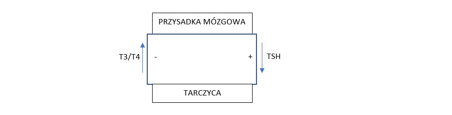  choroby_tarczycy