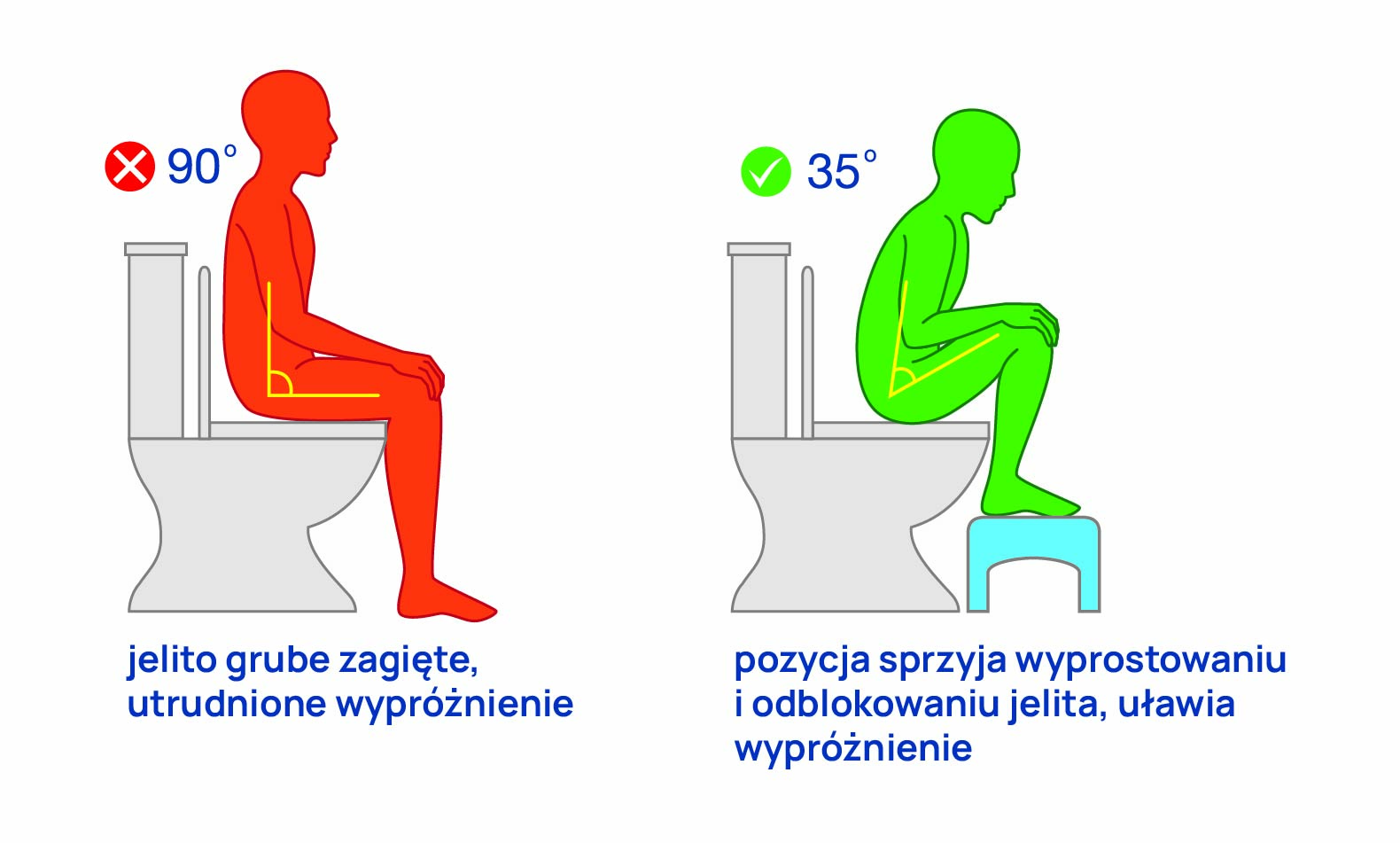 zaparcia, prawidłowy sposób wypróżniania, infografika