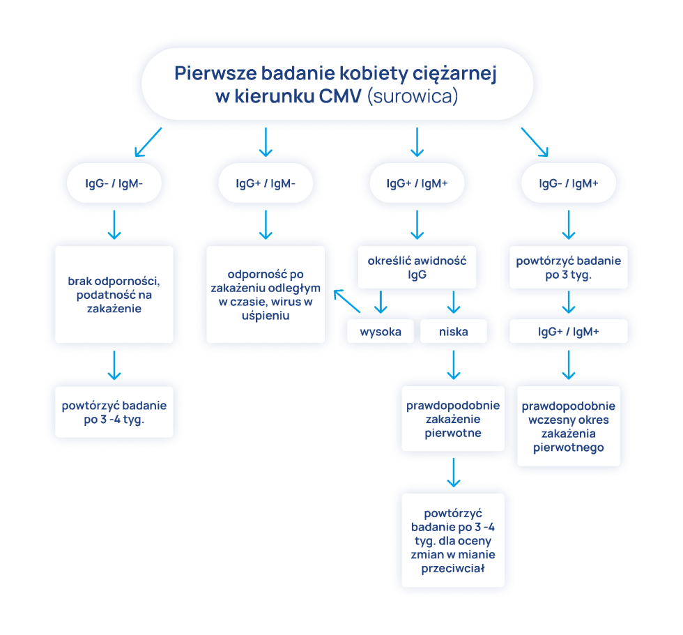 Cytomegalia w ciąży kolejność wykonywania badań infografika