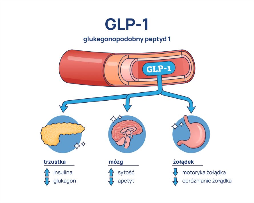Hormony_inkretynowe_infografika działanie GLP-1