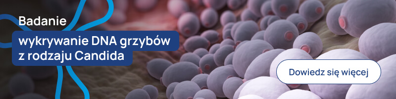 Wykrywanie DNA grzybow z rodzaju Candida banerek