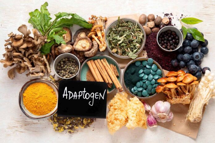 Adaptogeny_cover