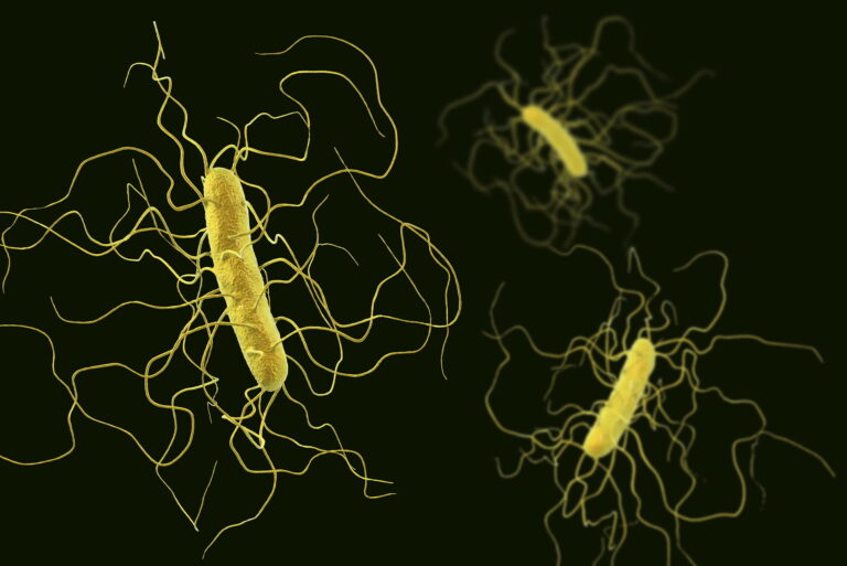 Zakażenie Clostridioides difficile (dawn. Clostridium difficile) – objawy, przebieg, diagnostyka i leczenie