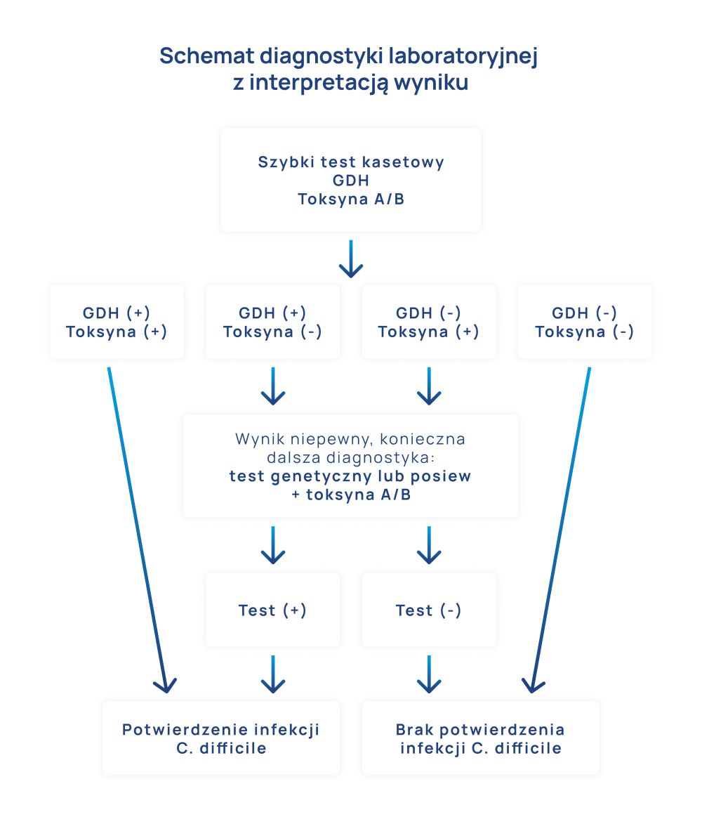 Clostridioides_difficile_schemat