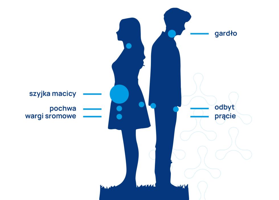 lokalizacja HPV u kobiet i mężczyzn infografika