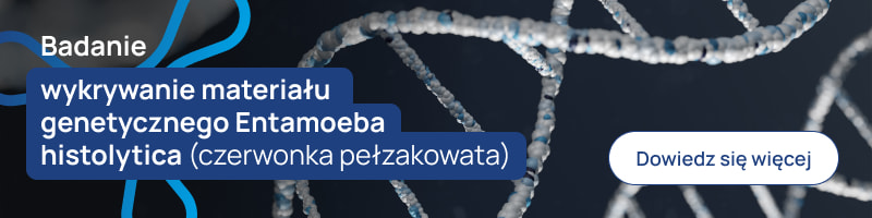 Badanie – wykrywanie materiału genetycznego Entamoeba histolytica (czerwonka pełzakowata) banerek
