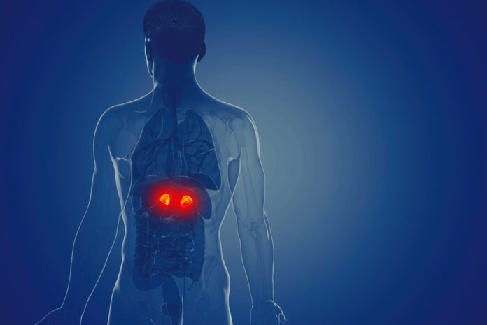 Niedoczynnosc_kory_nadnerczy_cover