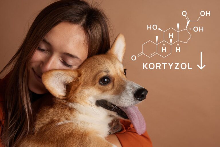 Jak obniżyć poziom kortyzolu?