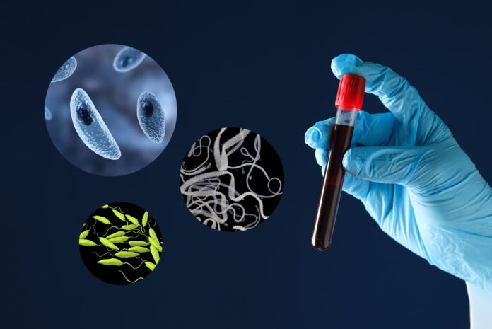 Badania_krwi_na_pasozyty_cover