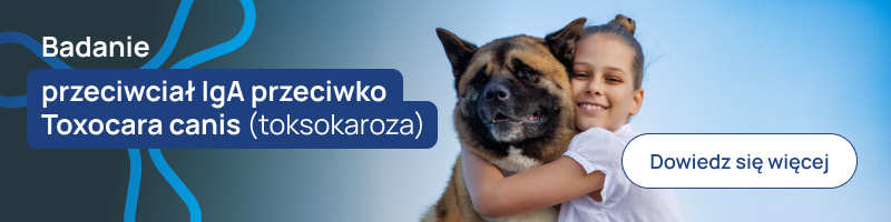 Badanie przeciwciał IgA przeciwko Toxocara canis (toksokaroza)