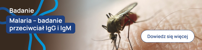 Malaria – badanie przeciwciał IgG i IgM