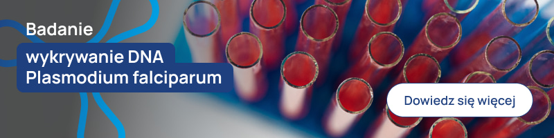 Wykrywanie DNA Plasmodium falciparum
