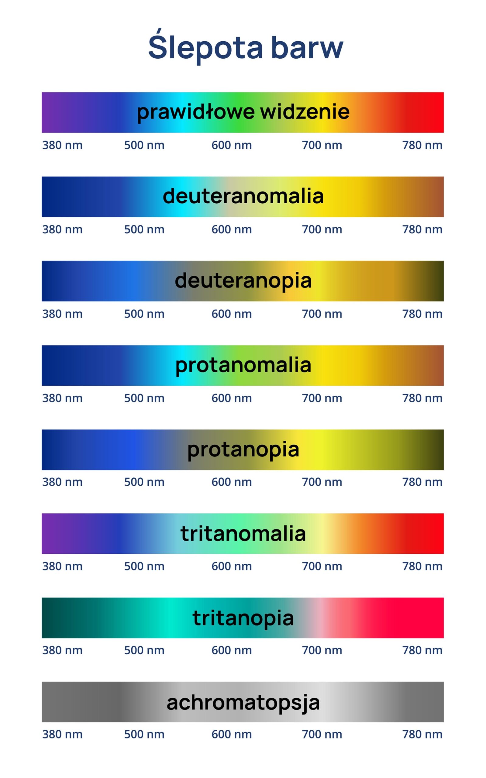 ślepota barw daltonizm infografika