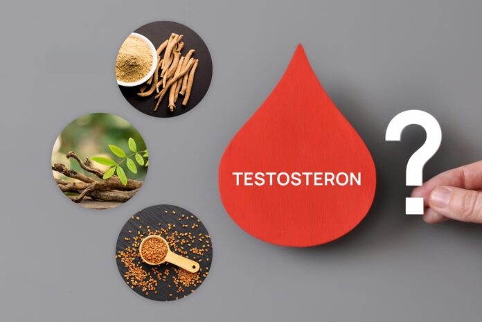 Boostery_testosteronu_cover