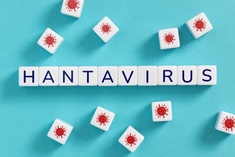 Hantawirus – jak się objawia i czy jest niebezpieczny?