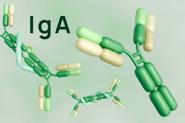 Immunoglobulina IgA – za co odpowiada, kiedy badać i co mogą oznaczać wyniki?