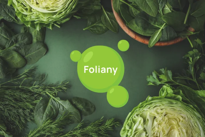 Foliany_cover Foliany_cover
