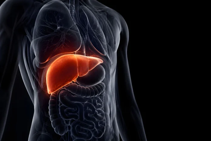 hepatomegalia hepatomegalia