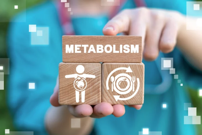 metabolizm cover